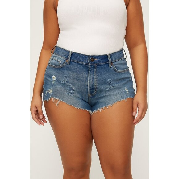 Denim Cutoff Embroidered Shorts Blue Size 19 Up-Cycled Daisies Festival Summer